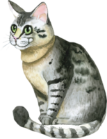 cat watercolor icon. AI Generated png
