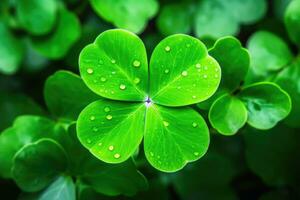 Four leaves clover symbolizing fortune and being lucky.AI Generative photo