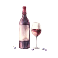 A bottle and glass of red wine with grape berries. Watercolour hand draw food illustration. Wine making set for your design print of sticker, flyers, drink menu, wine list, card png