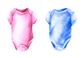 Baby pink and blue bodysuit. He or she, baby clothes set. Watercolor hand illustration. Design for birthday, newborn, gender reveal party, print, sticker png