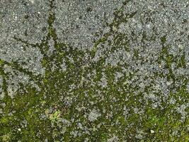 Asphalt surfaces of different streets and roads with cracks in close up photo