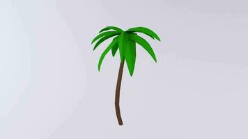 a 3d model of a palm tree video