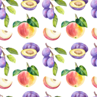 Hand drawn watercolor fruit pattern with plums and apples on the transparent background. Botanical fruit pattern. png