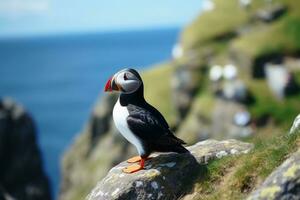 A beautiful puffin bird in a close up view.AI generative photo