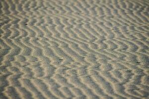 Waves in the sand photo