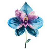 orquídea flor lindo ai generativo png