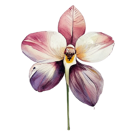 orquídea flor lindo ai generativo png