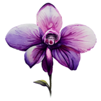 orquídea flor hermosa ai generativo png