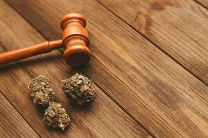 Medical marijuana, inflorescences of shinki herb plant with judge's gavel, law concept photo