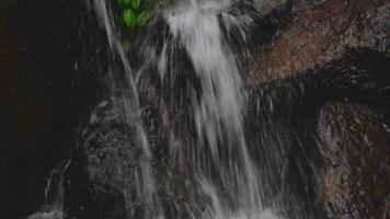 água fluindo em a montanha rio quando chuvoso estação com água movimento através a rio pedra. a cenas é adequado para usar para meio Ambiente e fresco água conteúdo meios de comunicação. video