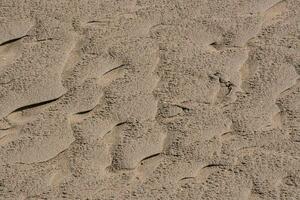 Sand background texture photo