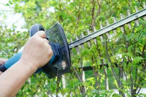 Gardener trimming bush by electric hedge clippers in garden. Hobby at home. photo