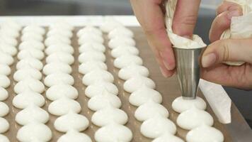 tondu proche en haut de une confiseur en utilisant Pâtisserie sac en train de préparer Meringue biscuits video