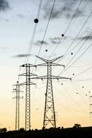 Electric poles background photo