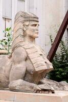 a statue of an egyptian sphinx in front of a building photo