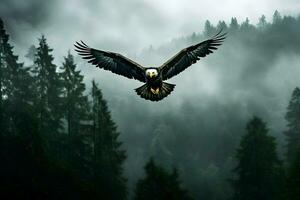 Photo of an eagle over the forest in mist. High quality. AI Generative