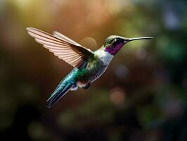 Flying bird. Hummingbird. High quality. AI Generative photo