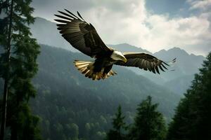 Realistic photo of an eagle over the forest. High-resolution. AI Generative