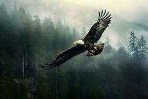 Photo of an eagle over the forest in mist. High quality. AI Generative