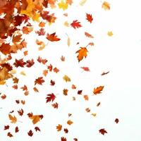 Hundreds of autumn leaves fall and fly on a white background. High-resolution. AI Generative photo