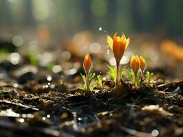 nuevo vida emerge en mojado primavera estación. alta resolución. ai generativo foto