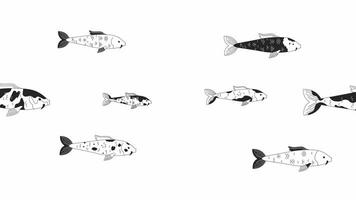 Japanese carp fishes swimming bw outline cartoon animation. Nishikigoi 4K video motion graphic. Floating carp koi group in pond 2D monochrome linear animated characters isolated on white background