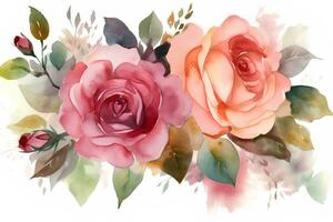 Watercolor roses on white background. AI generated illustration. photo