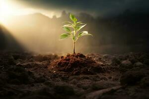 Sunlight shining on tree seedlings growing in the ground, concept of ecology, saving the environment, AI generated photo