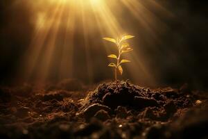 Sunlight shining on tree seedlings growing in the ground, concept of ecology, saving the environment, AI generated photo