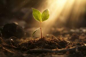 Sunlight shining on tree seedlings growing in the ground, concept of ecology, saving the environment, AI generated photo