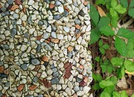 the path is the texture of stone and grass. close-up. background image Straight line of stone pavement and lawn on both sides. Top view photo