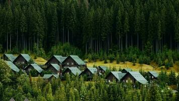 Houses in the forests meadows against the cloudy sky in the Carpathian Mountains, view in spring overcast morning while panning video