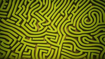 feeling lost or trapped within the maze struggle with mental health. photo