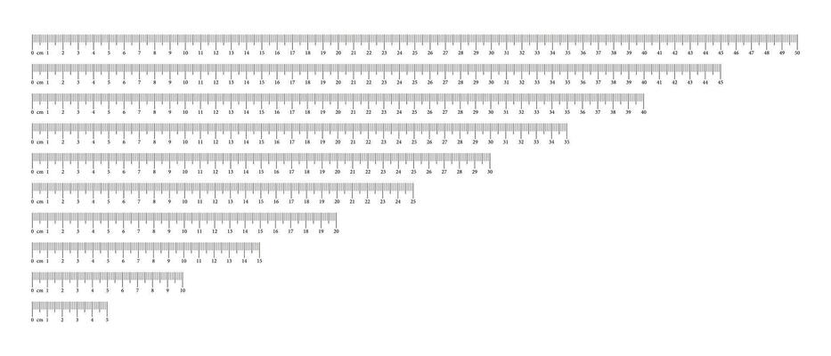 all stationery rulers for office works the long ruler with many sizes  15,20,30,40 and 50cm 27493085 Vector Art at Vecteezy