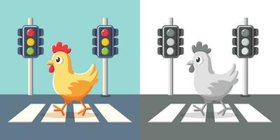 Chicken crossing the road on zebra crossing and color lights, vector illustration, Chicken walking on the street, chicken crossing the road, stock vector image