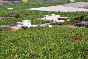 Aerial view of a plantation photo