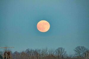 the moon is seen in the sky over a field photo