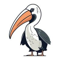 Pelican isolated on white background. Cartoon style vector illustration.