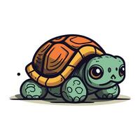 linda dibujos animados tortuga. vector ilustración aislado en un blanco antecedentes.