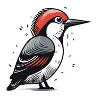 Woodpecker isolated on white background. Hand drawn vector illustration.