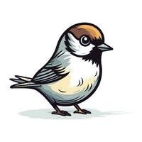 Vector illustration of a cute little bird. Black capped tit.