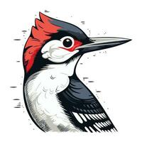 Vector image of a woodpecker head on a white background.