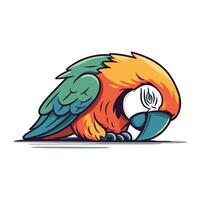 Parrot cartoon mascot. Vector illustration of a colorful parrot.