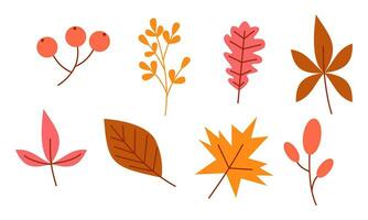 Autumn leaves logo vector image