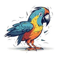 Colorful parrot isolated on a white background. Vector illustration.