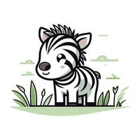 Zebra vector illustration on white background. Cute cartoon zebra.