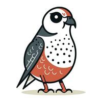 Illustration of a bullfinch bird on a white background. vector