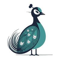 Peacock. isolated on a white background. Vector illustration.