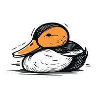 Duck on a white background. Vector illustration of a duck.