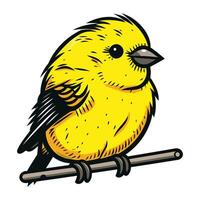 Vector image of a cute little yellow bird sitting on a branch.